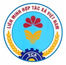 Tay Ninh Cooperative Alliances